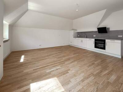 Wohnung mieten in 1220 Wien