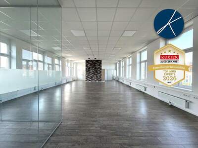 Büro / Praxis mieten in 3500 Krems (Bild 4)
