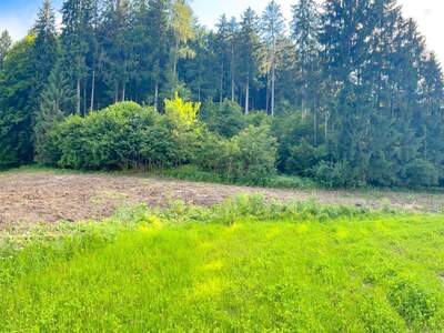 Grundstück kaufen in 8151 Mayersdorf (Bild 5)