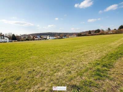 Grundstück kaufen in 2392 Grub