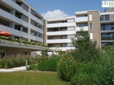 Terrassenwohnung mieten in 3100 St. Pölten (Bild 1)