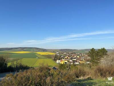 Anlageobjekt kaufen in 2111 Obergänserndorf