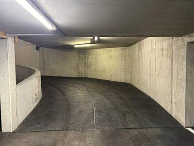 Halle / Lager / Produktion mieten in 1220 Wien (Bild 2)