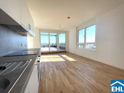 Terrassenwohnung kaufen in 1220 Wien (Bild 2)