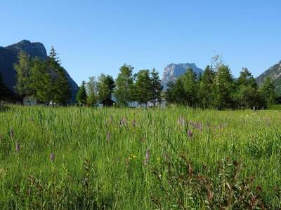 Grundstück kaufen in 4802 Ebensee