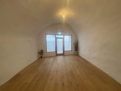 Gewerbeobjekt mieten in 5400 Hallein (Bild 3)