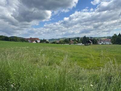Grundstück kaufen in 8330 Feldbach
