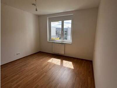 Terrassenwohnung mieten in 2700 Wr. Neustadt (Bild 5)