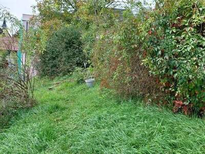 Grundstück kaufen in 3252 Petzenkirchen