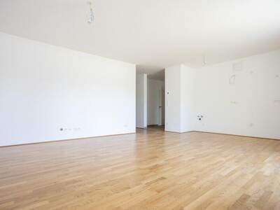 Terrassenwohnung kaufen in 2700 Wr. Neustadt (Bild 4)