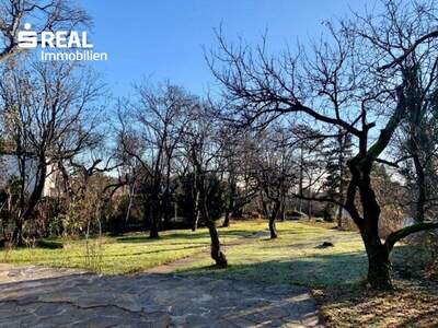 Einfamilienhaus kaufen in 2344 Maria Enzersdorf (Bild 1)