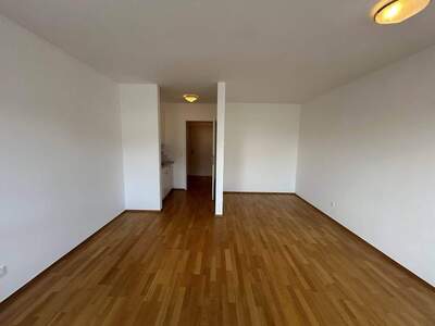 Wohnung mieten in 1190 Wien