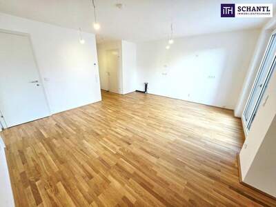 Terrassenwohnung kaufen in 1220 Wien (Bild 1)
