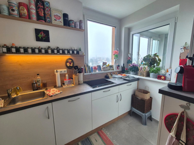 Terrassenwohnung mieten in 8051 Graz Gösting (Bild 4)