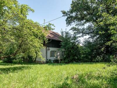 Grundstück kaufen in 4020 Leonding (Bild 1)