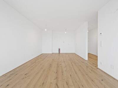 Terrassenwohnung kaufen in 2540 Bad Vöslau (Bild 5)