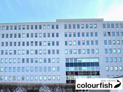 Gewerbeobjekt mieten in 1110 Wien (Bild 3)