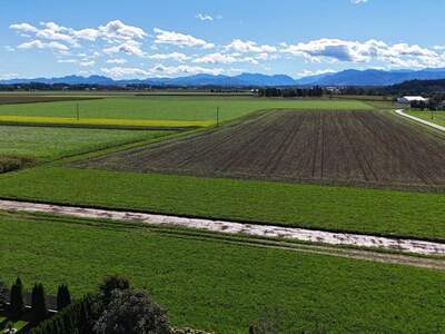 Grundstück kaufen in 4652 Steinerkirchen (Bild 5)