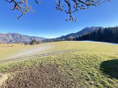 Gewerbeobjekt kaufen in 8921 Mooslandl