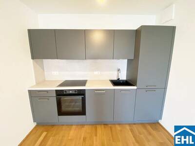 Terrassenwohnung mieten in 1110 Wien (Bild 3)