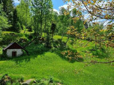 Einfamilienhaus kaufen in 3971 St. Martin (Bild 5)
