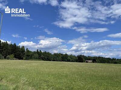 Grundstück kaufen in 8501 Lieboch (Bild 1)