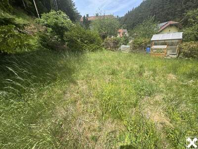 Haus kaufen in 2734 Puchberg (Bild 3)