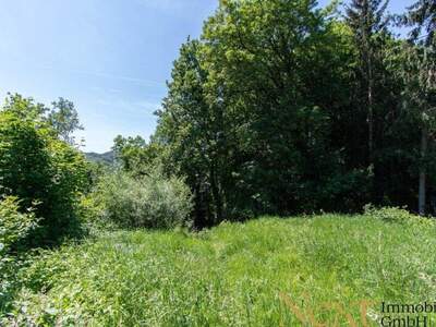 Grundstück kaufen in 4048 Puchenau (Bild 2)