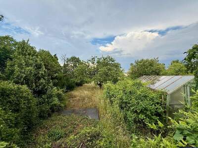 Grundstück kaufen in 2102 Hagenbrunn