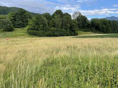 Haus kaufen in 9132 Gallizien (Bild 4)