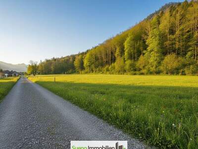 Grundstück kaufen in 4645 Grünau (Bild 1)