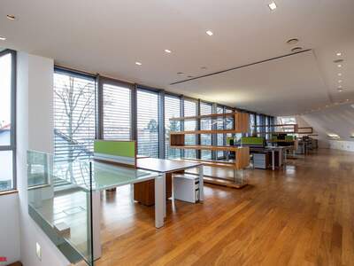 Gewerbeobjekt mieten in 4070 Eferding (Bild 2)