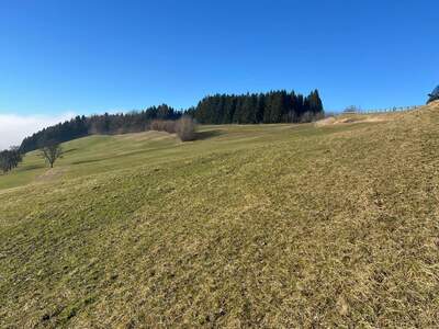 Gewerbeobjekt kaufen in 3353 Seitenstetten Dorf