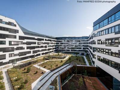 Gewerbeobjekt mieten in 1020 Wien (Bild 2)