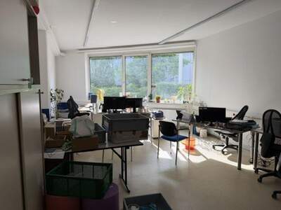 Gewerbeobjekt mieten in 4020 Linz (Bild 5)