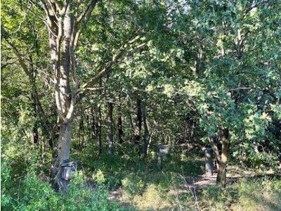 Grundstück kaufen in 3433 Königstetten (Bild 4)