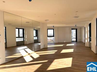 Terrassenwohnung mieten in 4020 Linz (Bild 4)