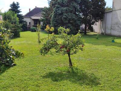 Haus kaufen in 7011 Siegendorf