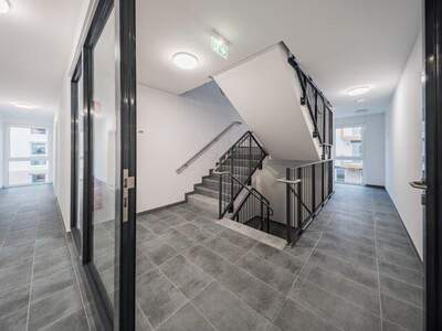Terrassenwohnung kaufen in 1220 Wien (Bild 3)