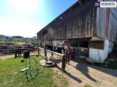 Immobilie kaufen in 8570 Voitsberg (Bild 4)