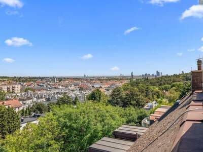 Wohnung mit Balkon kaufen in 1190 Wien (Bild 1)