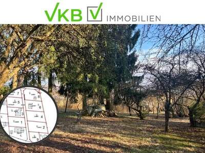 Grundstück kaufen in 4211 Alberndorf