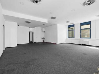 Gewerbeobjekt mieten in 1230 Wien (Bild 5)
