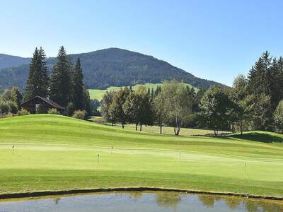 Grundstück kaufen in 6363 Westendorf