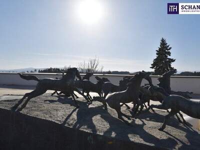 Terrassenwohnung kaufen in 8113 Sankt Bartholomä (Bild 3)