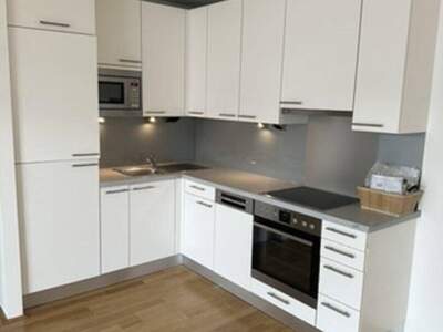 Wohnung mieten in 1190 Wien