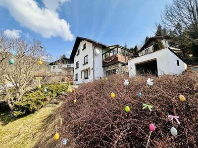Haus kaufen in 8685 Steinhaus