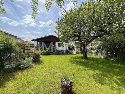 Einfamilienhaus kaufen in 4061 Pasching (Bild 2)