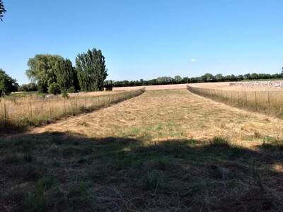 Plot / Land provisionsfrei kaufen in 2272 Ringelsdorf