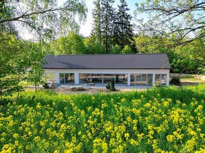 Haus provisionsfrei kaufen in 3874 Litschau